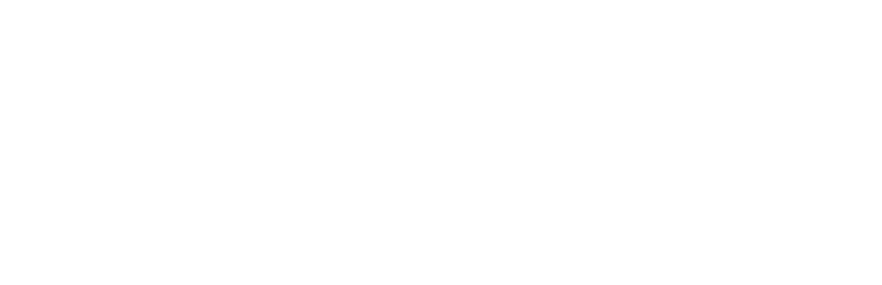 5b team