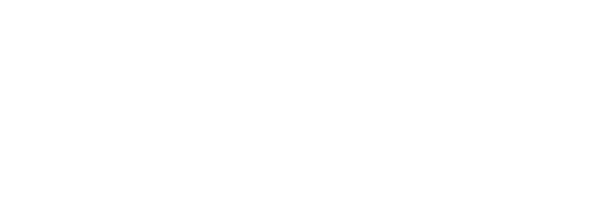 play team of the night