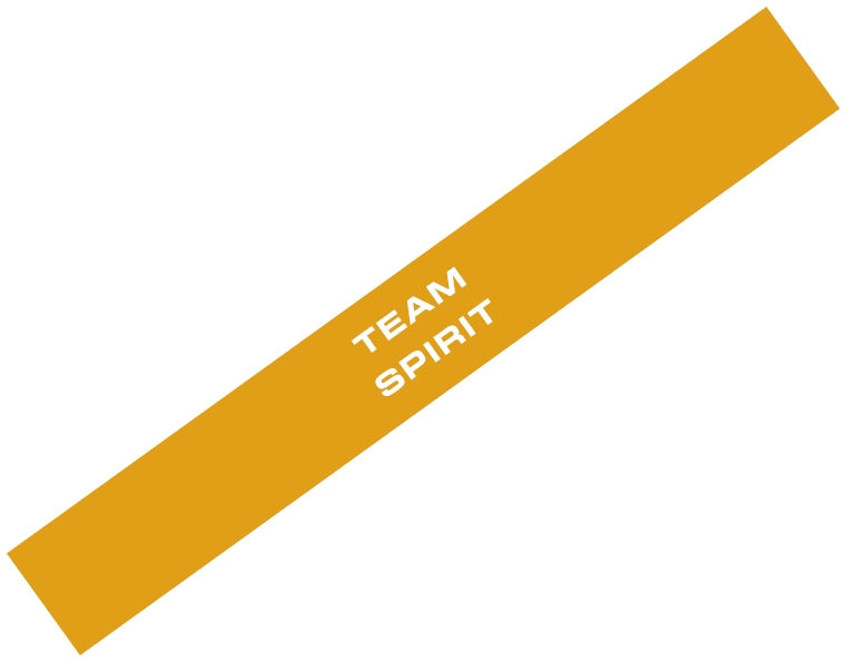 TEAM SPIRIT