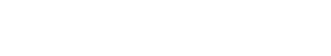 St. Francis vs St. Rita Game Highlights Feb. 26, 2025