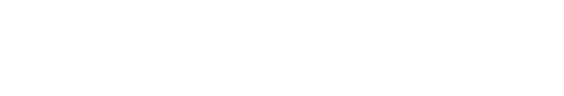 championship celebration