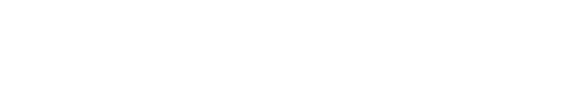 championship celebration