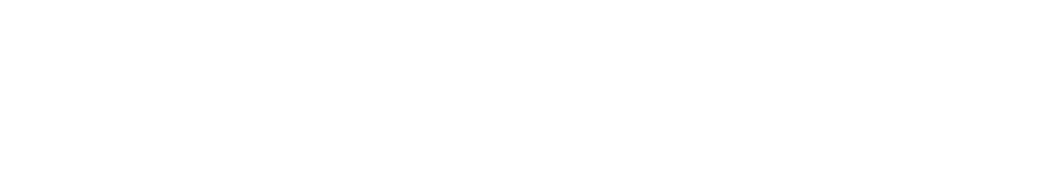 Team honor at devils game