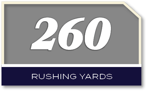 260,rushing YARD