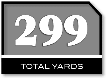 299,TOTAL YARD