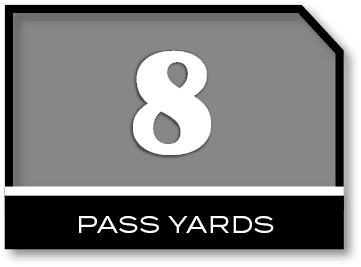 8,PASS YARD