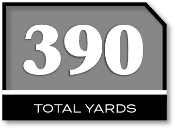 390,TOTAL YARD