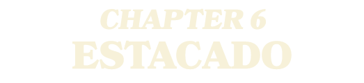 CHAPTER 6 ESTACADO