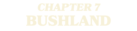 CHAPTER 7 BUSHLAND
