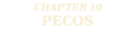 CHAPTER 10 PECOS