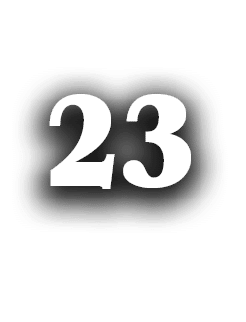 23