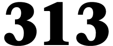 313
