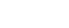 355