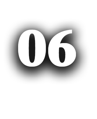 06