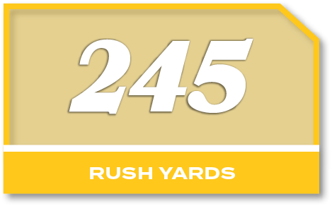 245,rush YARD