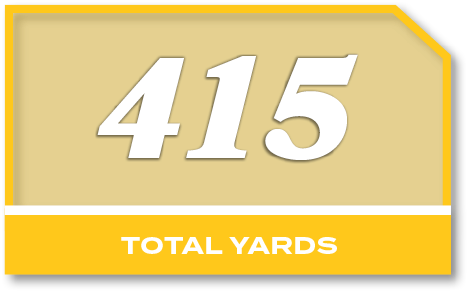 415,total YARD