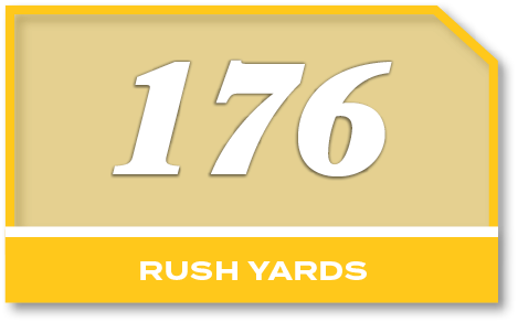 176,rush YARD