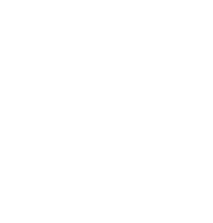Mololuwa Leye Trevon McGhee Jo’Vaughn Martin