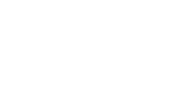 SPRINGDALE BULLDOGS