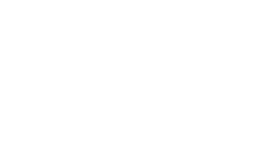 BRYANT HORNETS