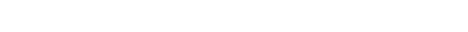 VS 2025 CAPITAL