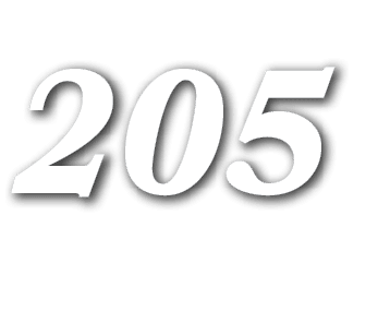 205