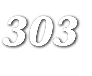 303