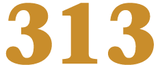 313