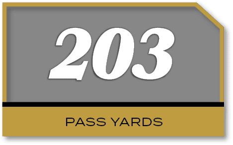 203,PASS YARD