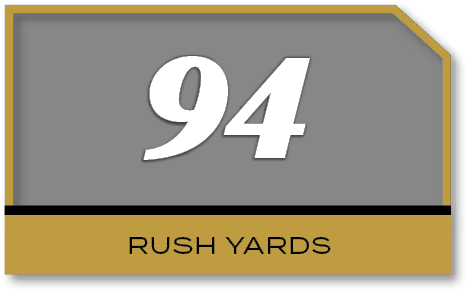94,rush yard