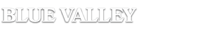 blue valley