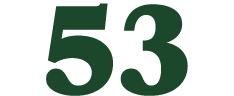 53