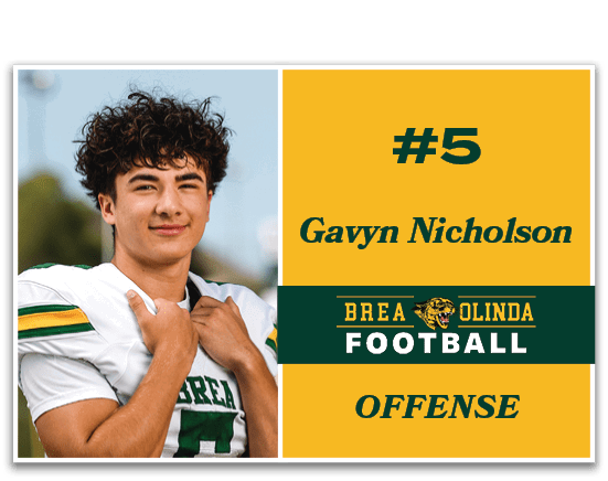 Gavyn Nicholson,,OFFENSE,#