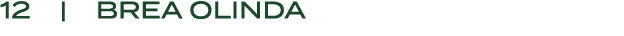 12 | BREA OLINDA