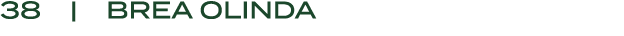 38 | BREA OLINDA