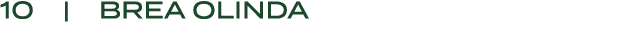 10 | BREA OLINDA