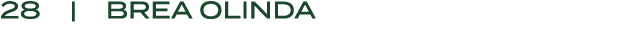 28 | BREA OLINDA