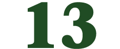 13