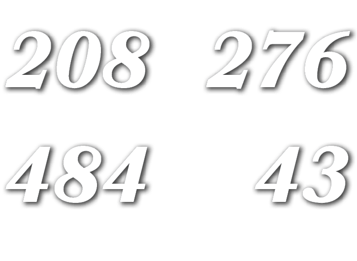 43,tackles,276,rush yds,484,total yds,208,pass YD
