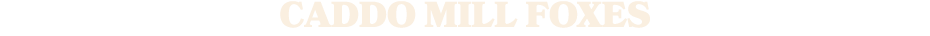 CADDO MILL FOXES