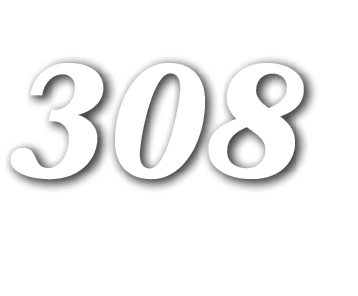 308