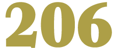 206