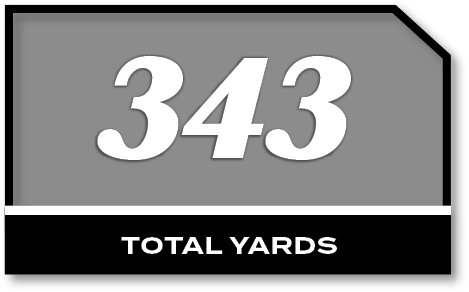 343,total YARD