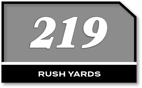 219,rush YARD