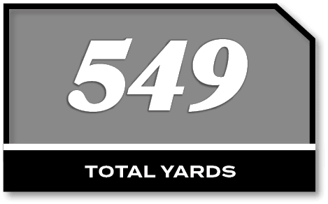 549,total YARD