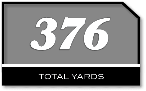376,TOTAL YARD