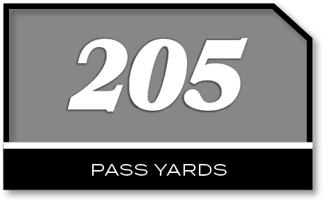 205,PASS YARD
