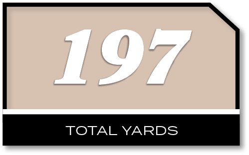 197,total YARD