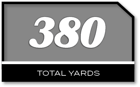 380,TOTAL YARD