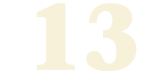 13